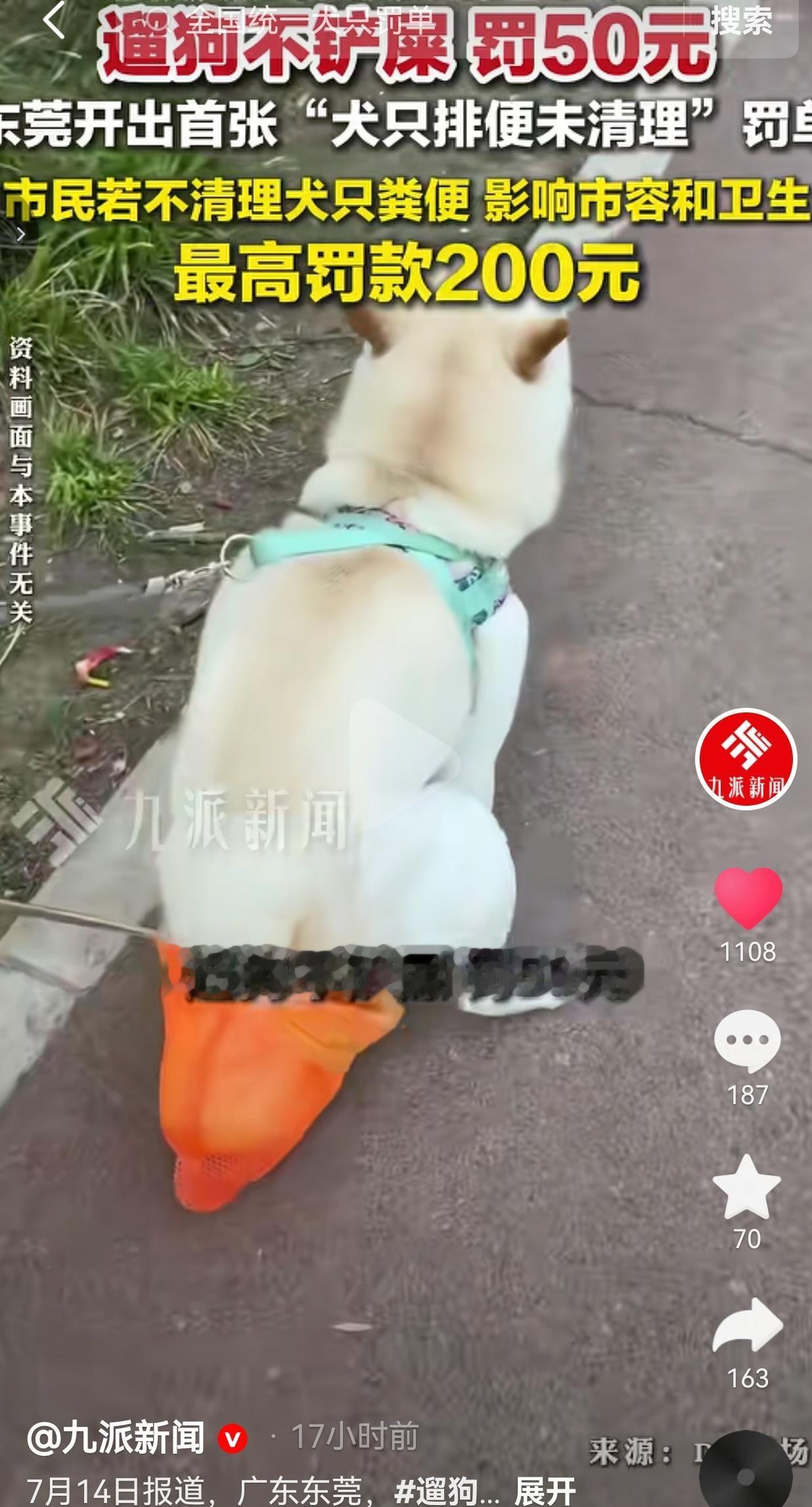 据九派新闻7月14日完整报道，依据《东莞市养犬管理条例》，当地城管开出了全市第一