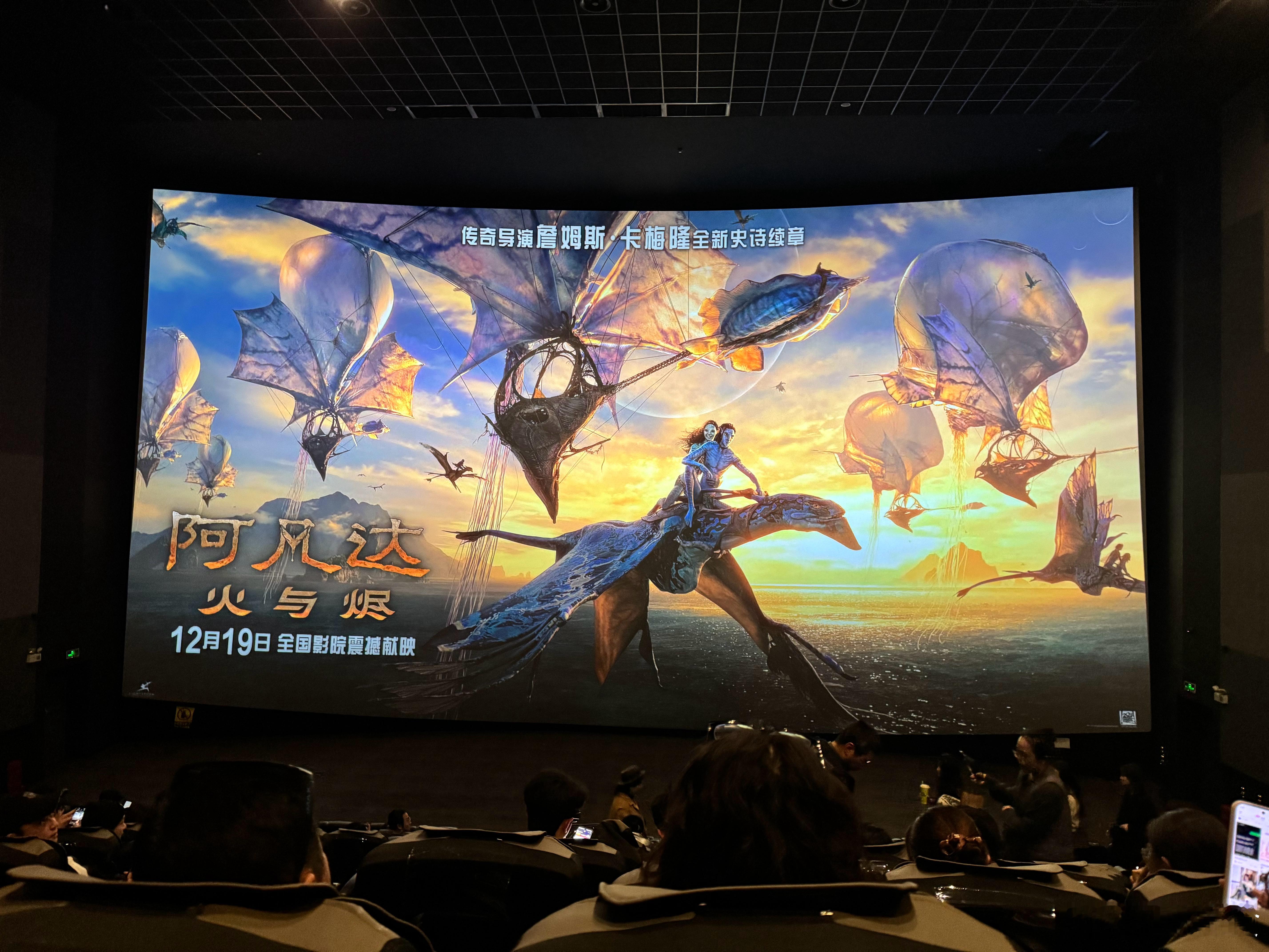 阿凡达是一定要去电影院看IMAX的电影，第3部更像是第2部的续集，只是加了些跟主