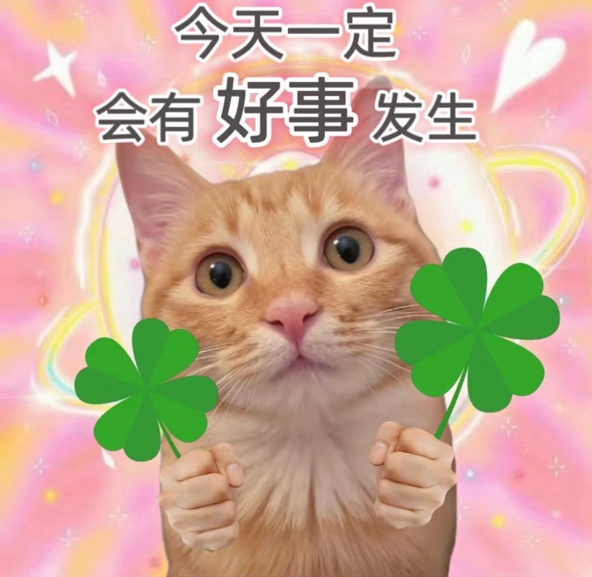 家人们枣上好～ 早睡早起身体好不是一句口号而是三个愿望今天你实现了几个愿望？早安