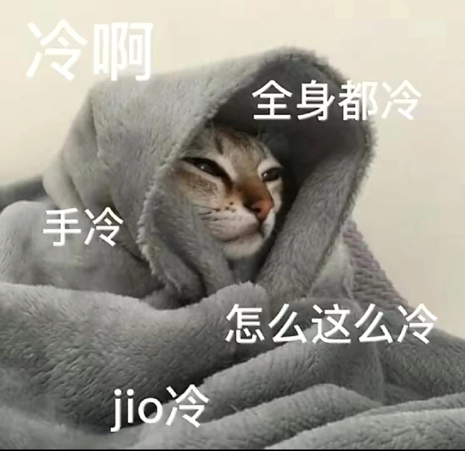 北京10月飘雪了！
 
家人们！北京这是要搞“季节穿越”吗？10月刚过半，西部和