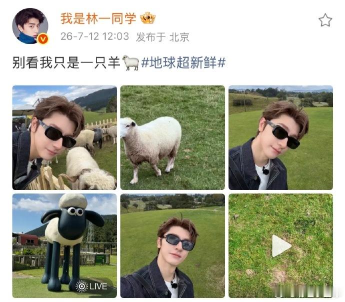 周也评论区唱别看我只是一只羊周也林一什么时候上音乐节 两人隔空语音接力唱喜羊羊，