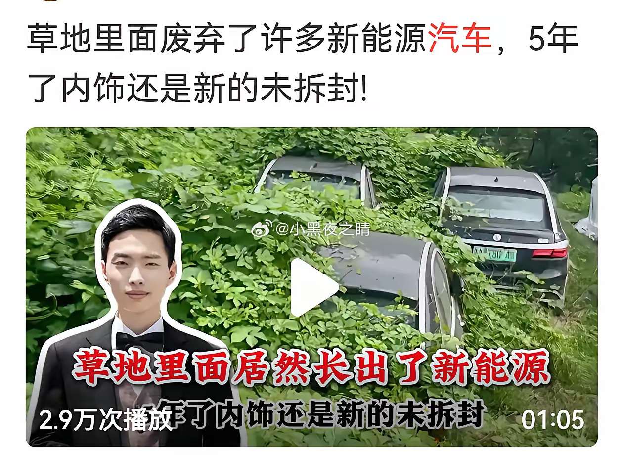 “零公里报废车”！又一个炸裂的新词出现了。继长城魏建军在新浪财经专访中首次提到有