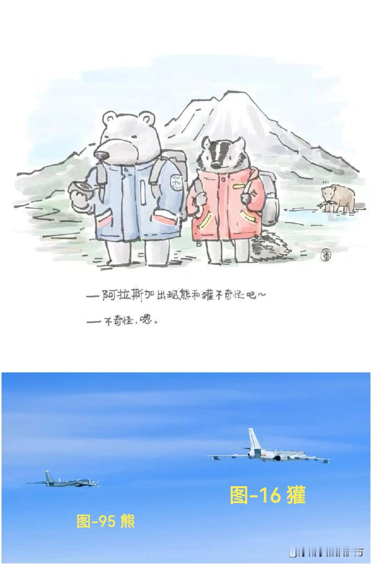 [呲牙] 哟～在阿拉斯加居然出现了“熊”和“獾”？
嚯嚯嚯，“生态”改善了，这是