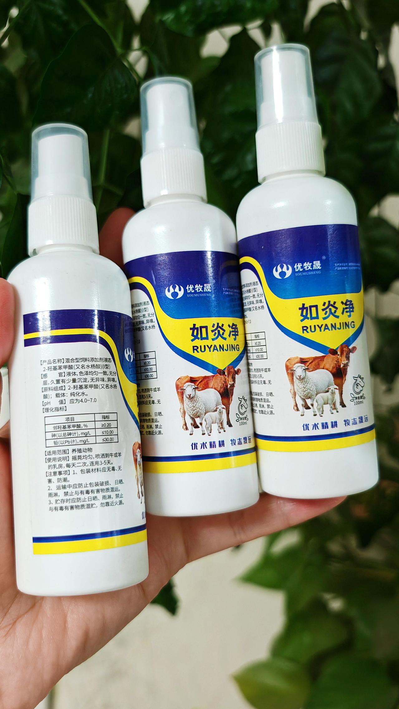 养羊 农村养羊 牛羊养殖