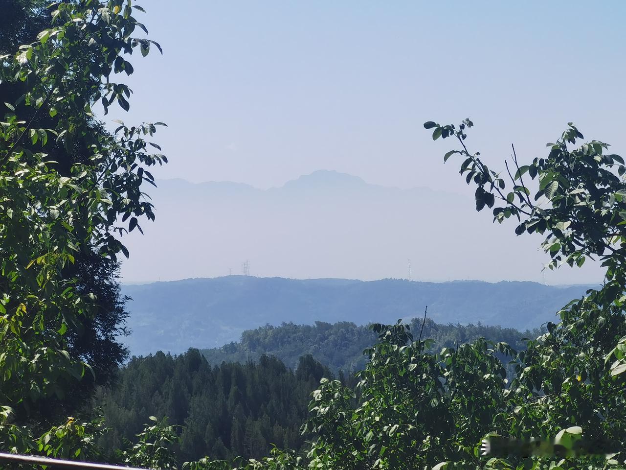 直播中各种腔调的推销广告不绝于耳，卖货的声称为了“家人”各种亏本，各种优惠，各种