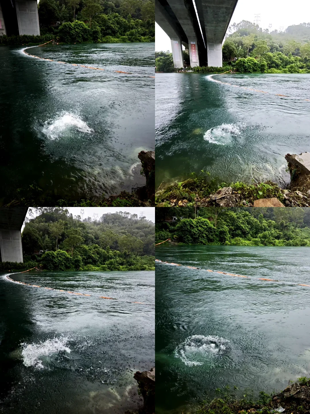 新丰江跳水局｜夏天就该泡在水里