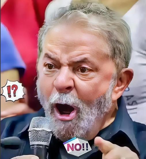 2025年12月3日，巴西外贸委员会正式宣布，取消对中国义乌华鼎锦纶公司尼龙长丝