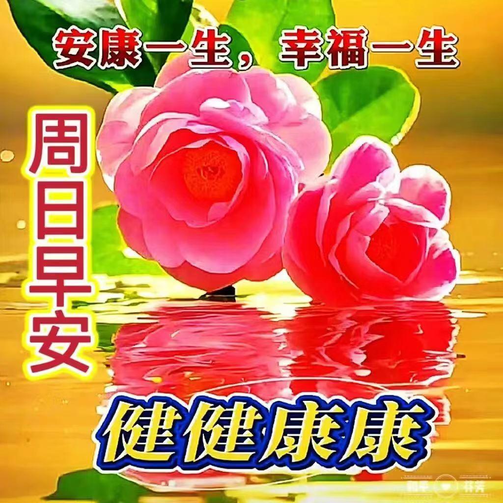 今日青岛，气温24C'至26C'度，体感宜人。祝您早安吉祥！

今日是2026年