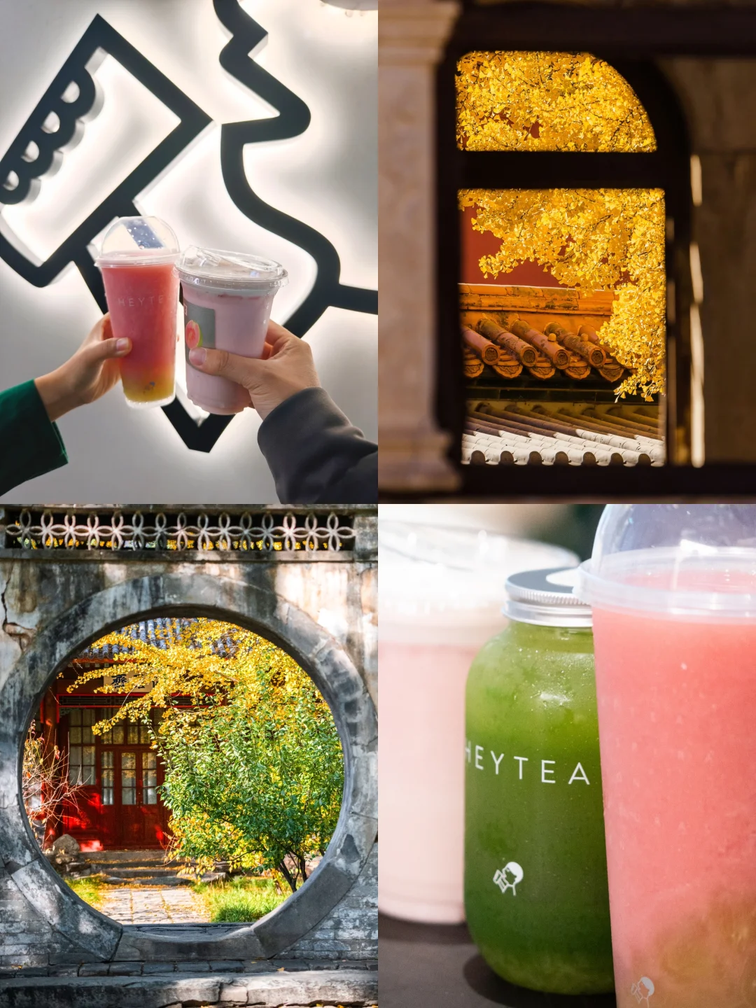 喝茶赏秋｜这个周末最惬意的赏秋打卡路线～