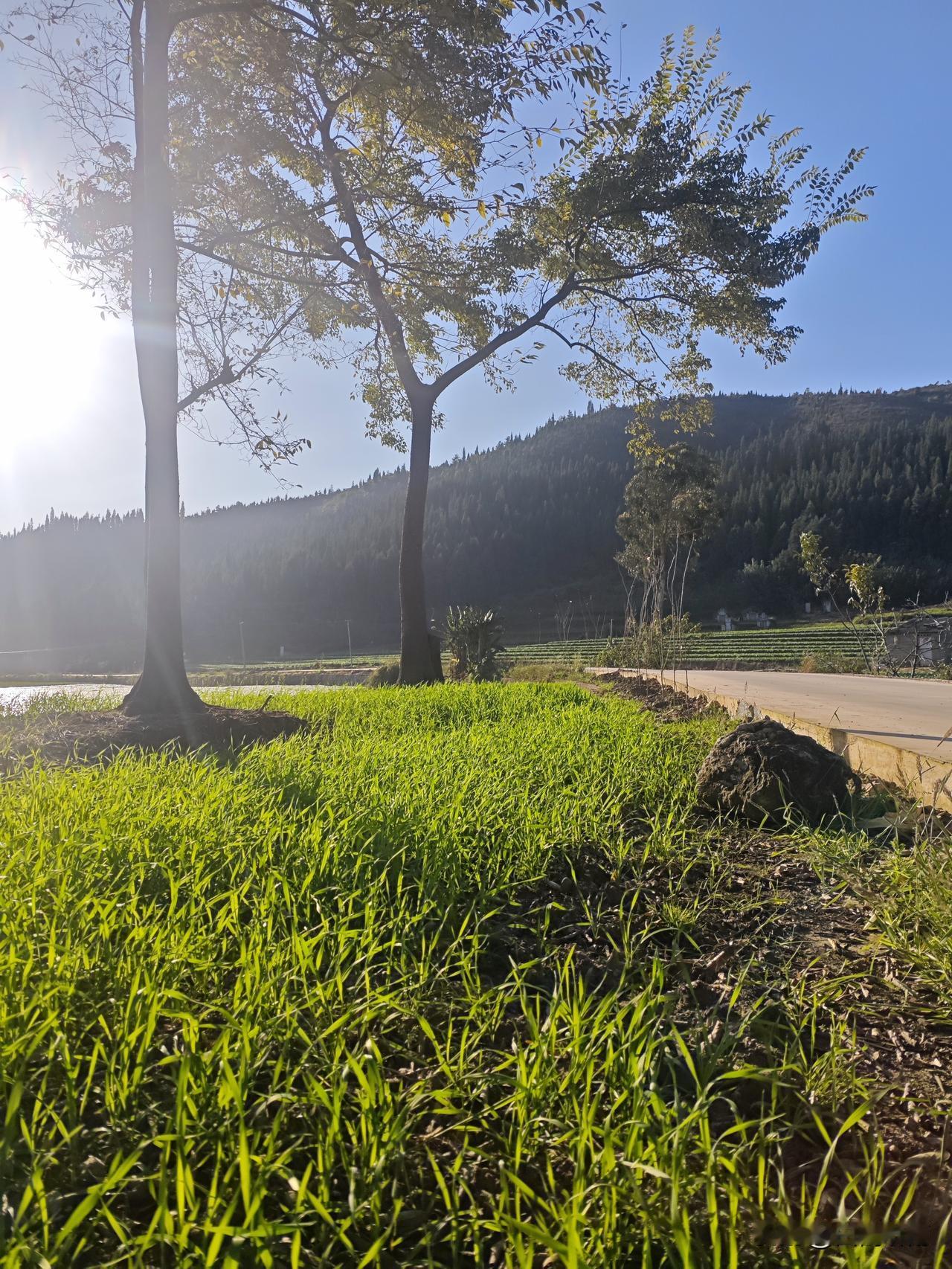 随手拍一拍你家乡的美景