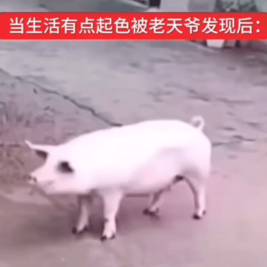 有钱人坤续陪hybe胡闹 我跑了 
