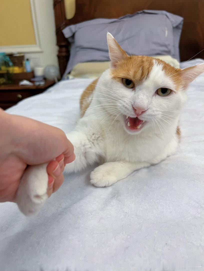 猴猴别走！我明早上想吃油条你可记得啊！ ​​​