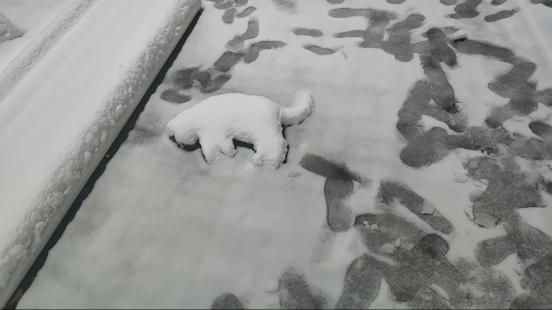 瞬间不想再下雪了