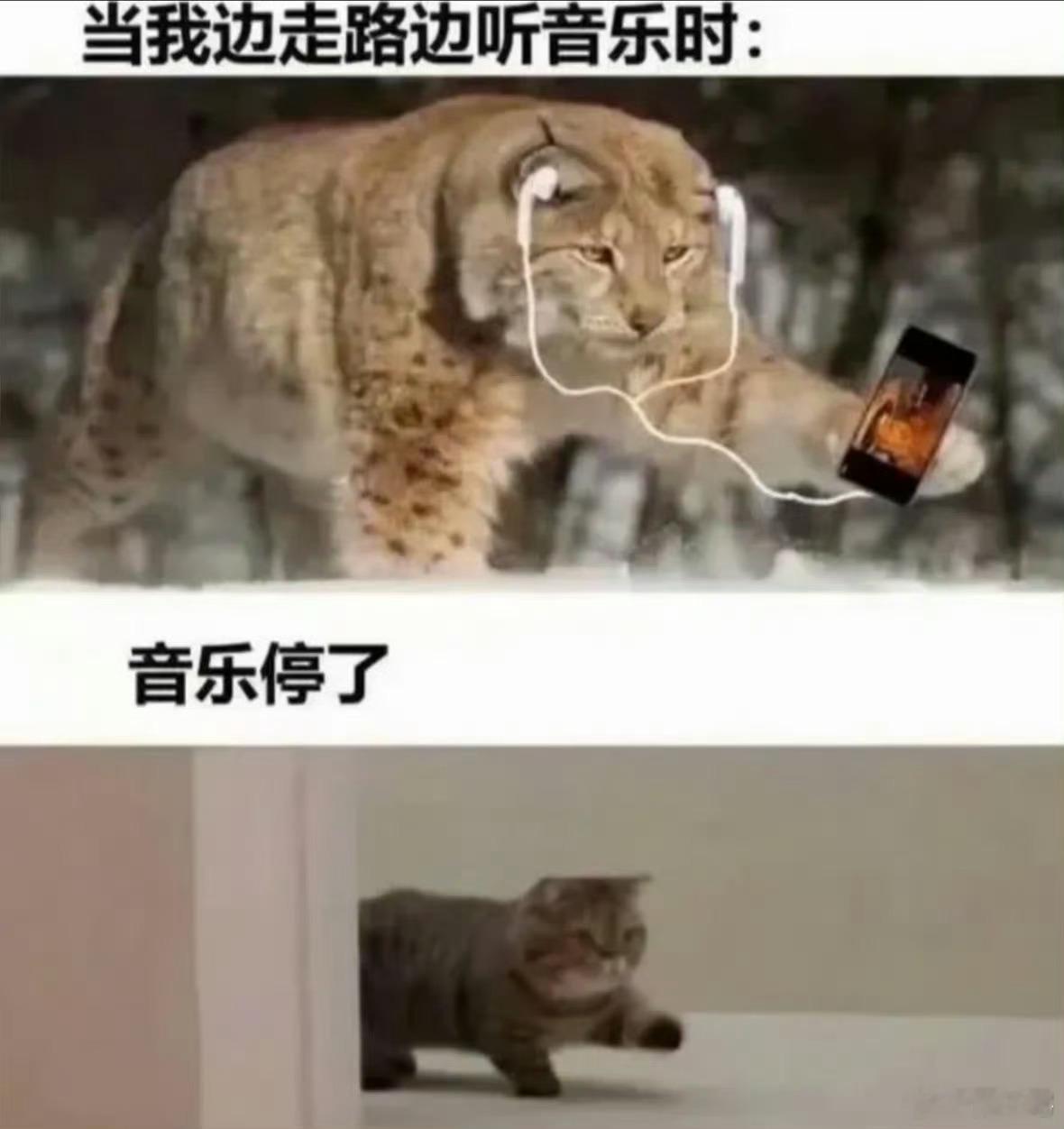 一代人有一代人的天选耳机耳机早已超越听音工具的范畴，成为当代人展现审美的方式。 