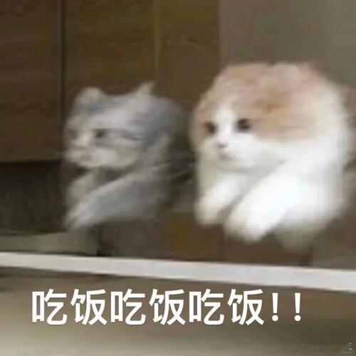 王子奇关晓彤你俩吃饱了吧刷到追剧团的这段花絮直接笑出声，王子奇发着包子嘴就闲不住