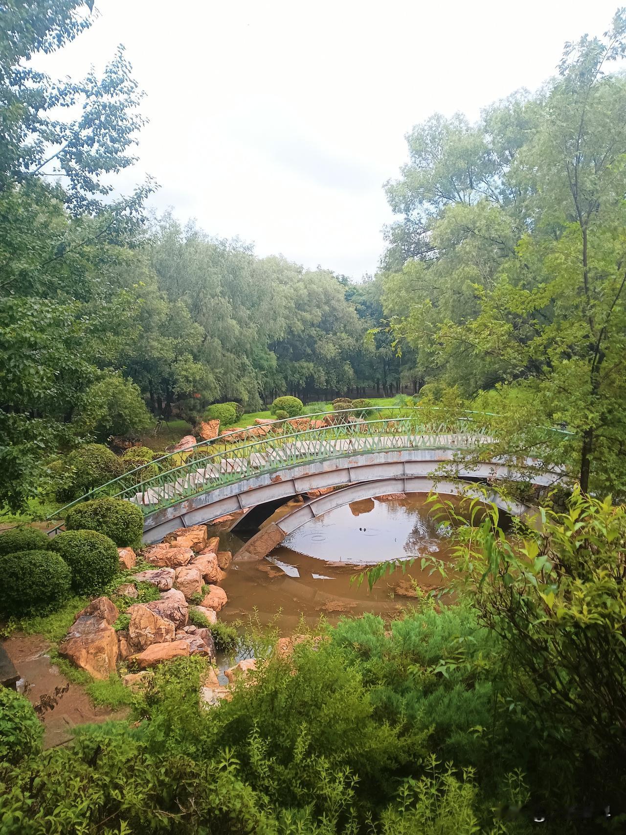 沈阳夏日享清凉
河边湖边公园
比市中心低二三度
小桥流水花草树木🌲
愉悦身心