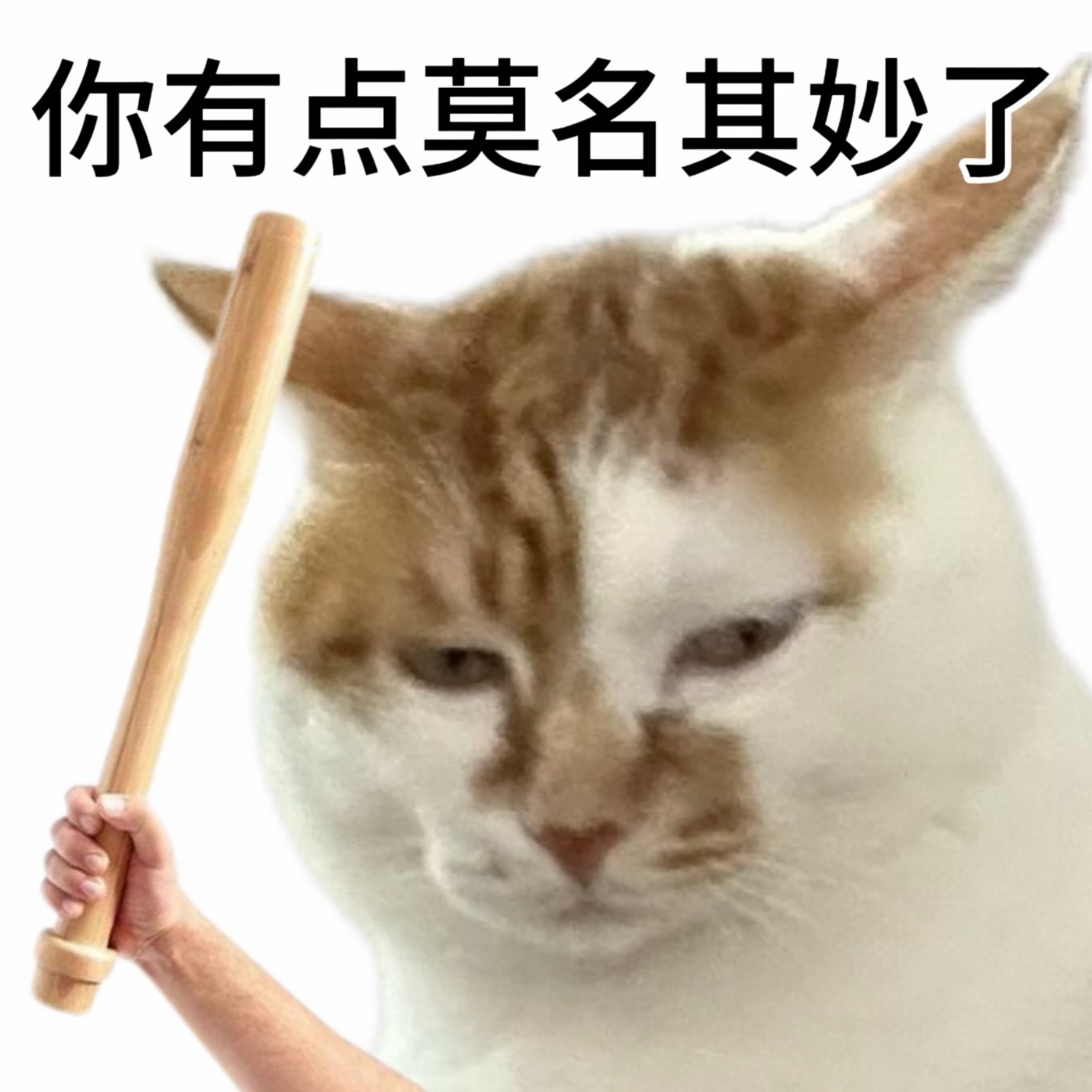 微信 贴图，微信也小绿书化了…以后刷着刷着不会有人搞那种对立起号吧微信老年人比较