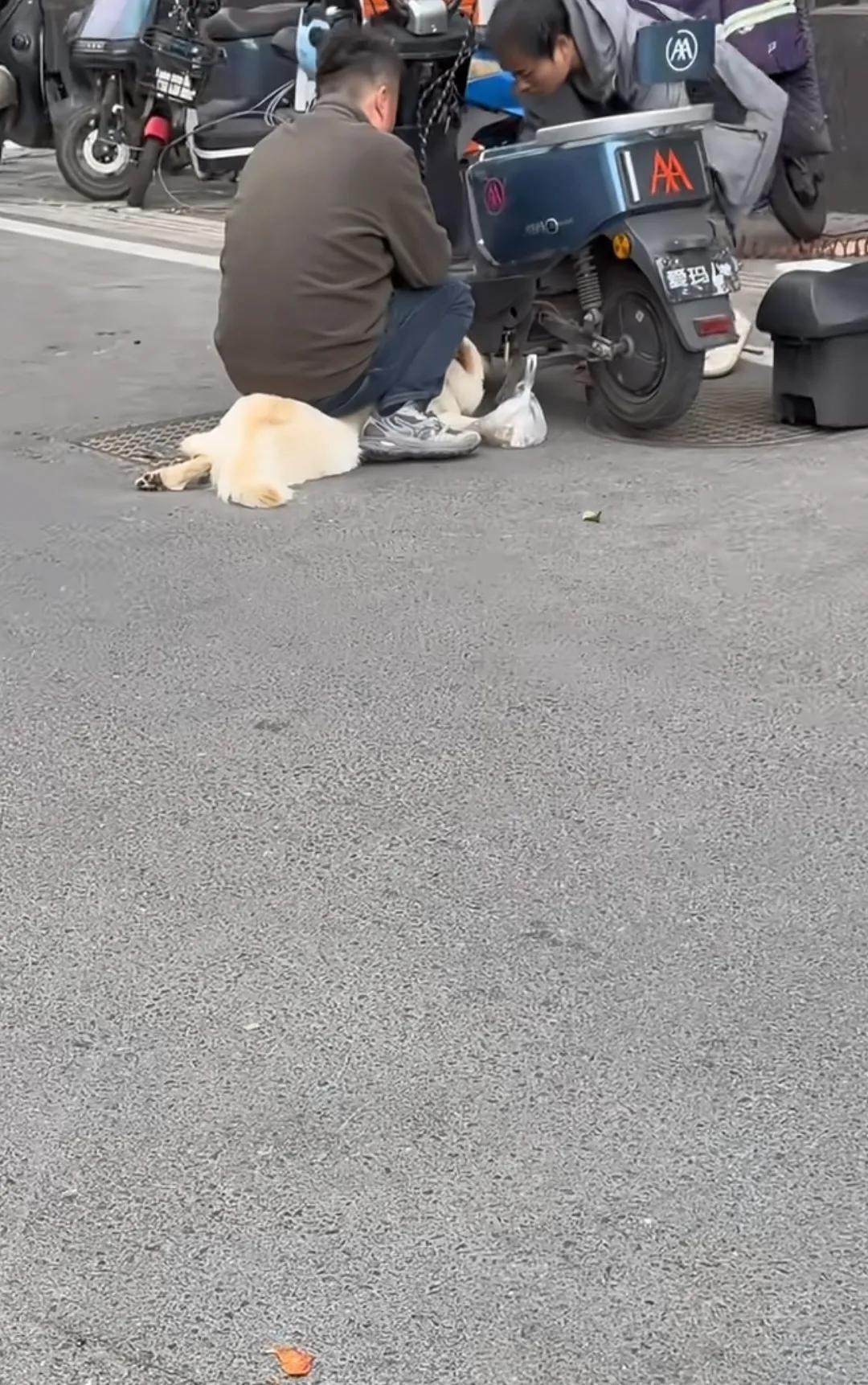 修车大哥：车坏了。
狗：没事，我就是你的临时小板凳！