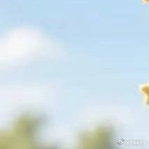 每日一善[超话] 保持一份温柔与善意，珍惜眼前细碎的美好。风遇风铃，心向暖阳，生
