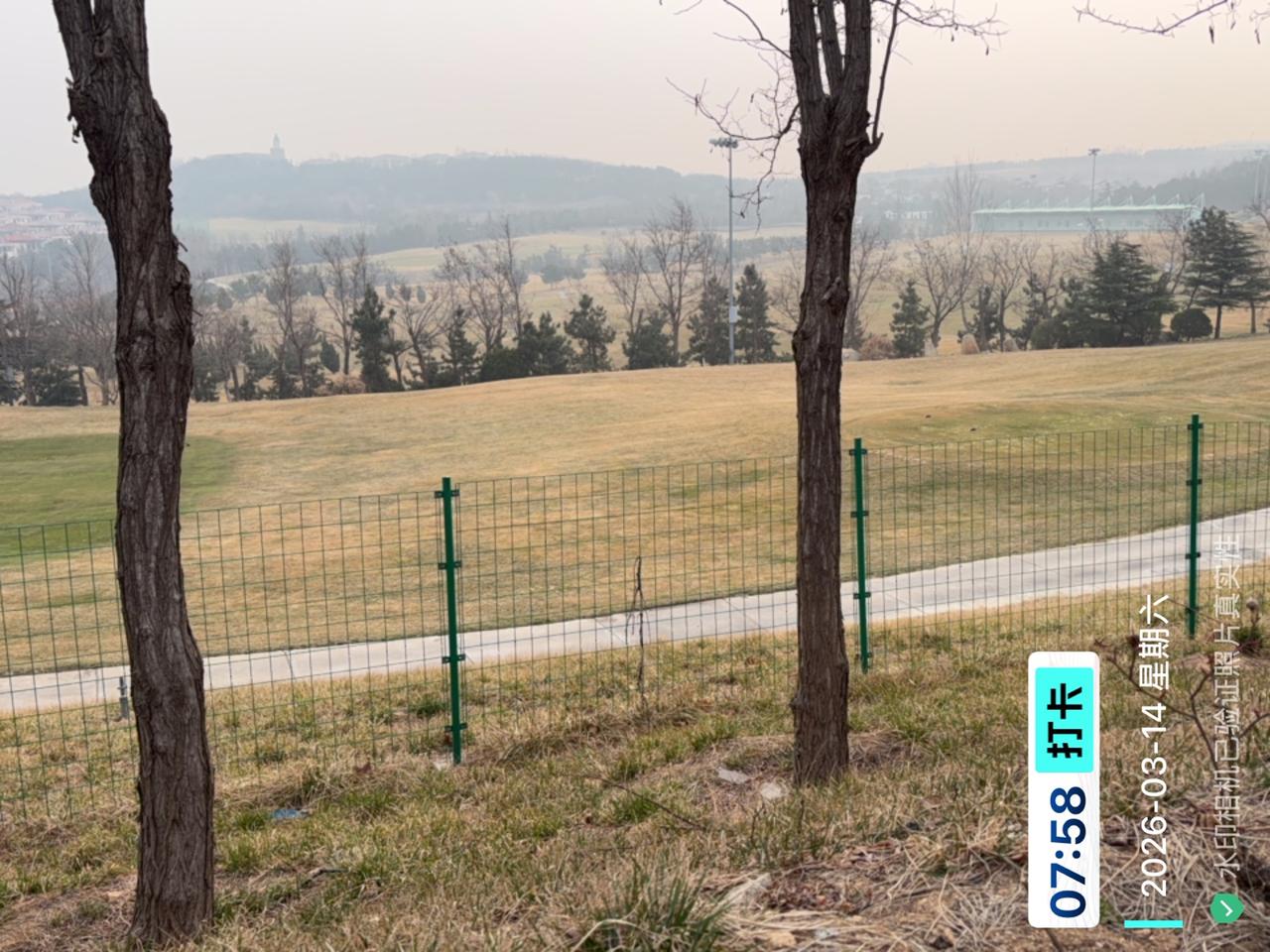 这几年吃住在农场，越发不习惯城市生活。宁愿看小动物们嬉戏玩耍，也不愿在人群中迷失