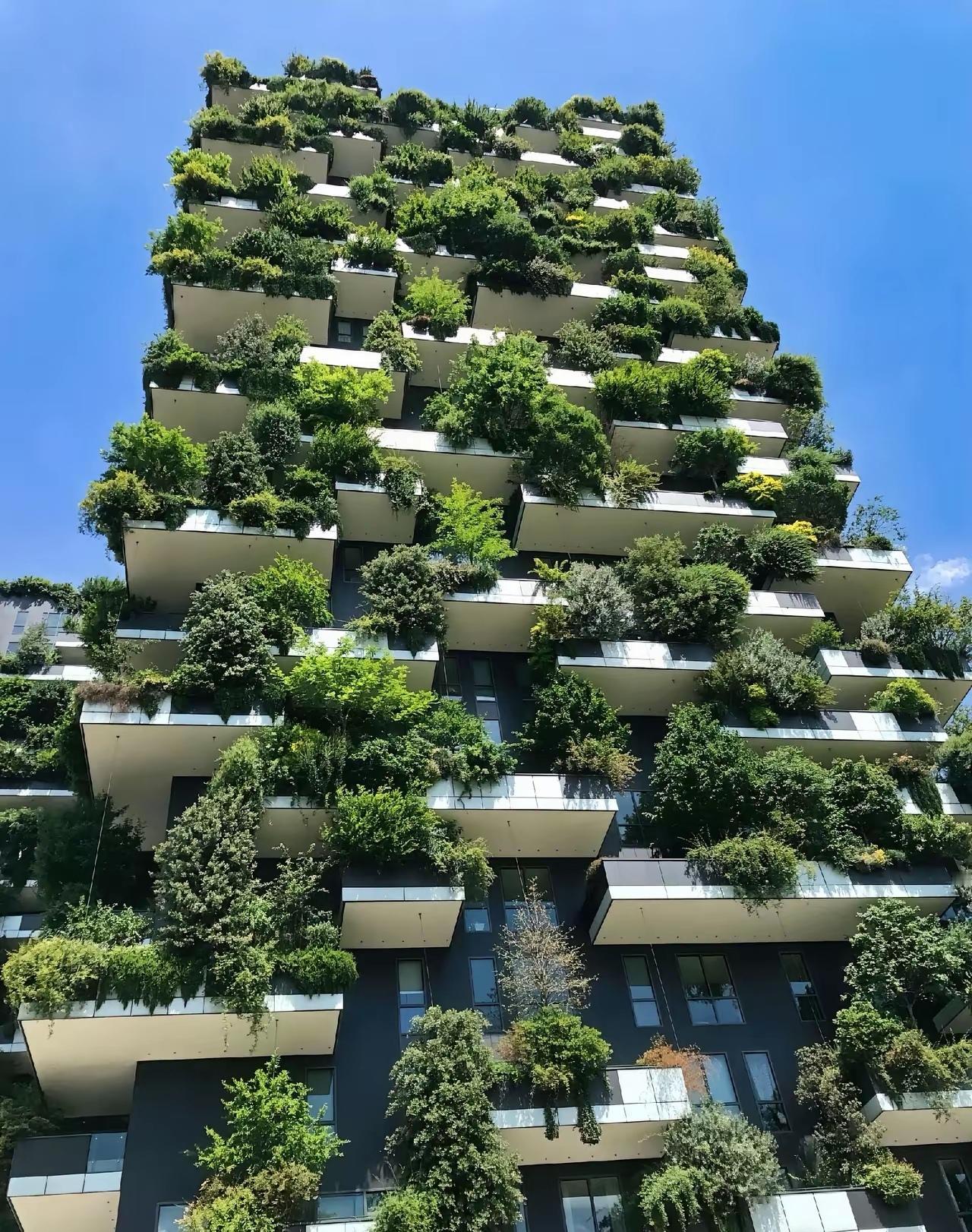 这就是第五代住房，就这绿化水平，
每平方米多花1万元我都愿意住，
大家觉得呢？
