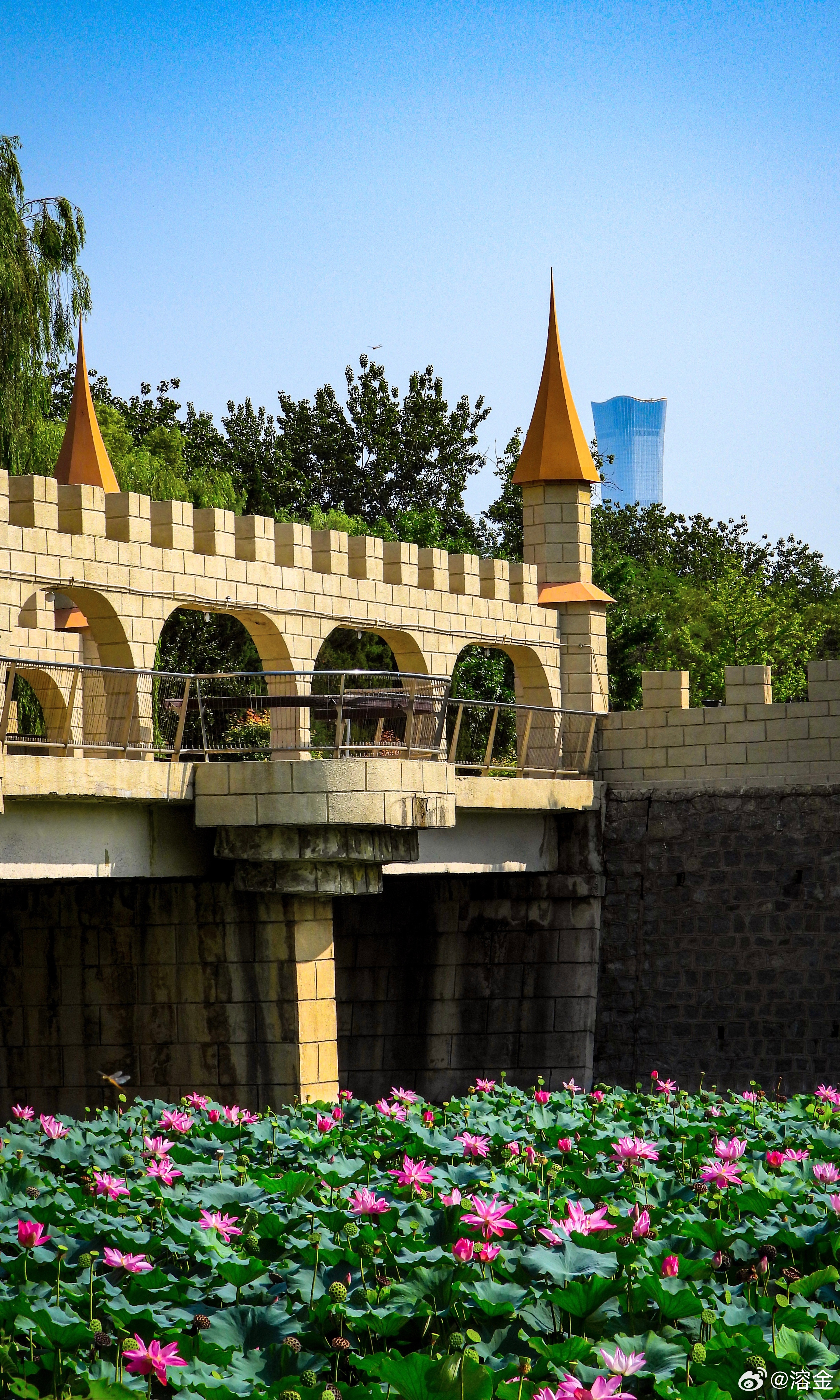 【北京龙潭中湖公园】层桥凝古堡，云锦落澄波。翠叶浮烟软，红蕖沐日多。垂杨遮暑气，