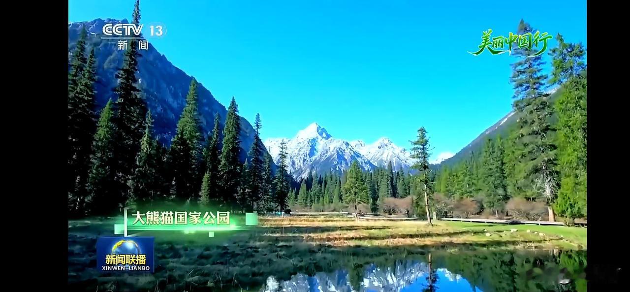 国家公园美景，动物自由自在的生活。