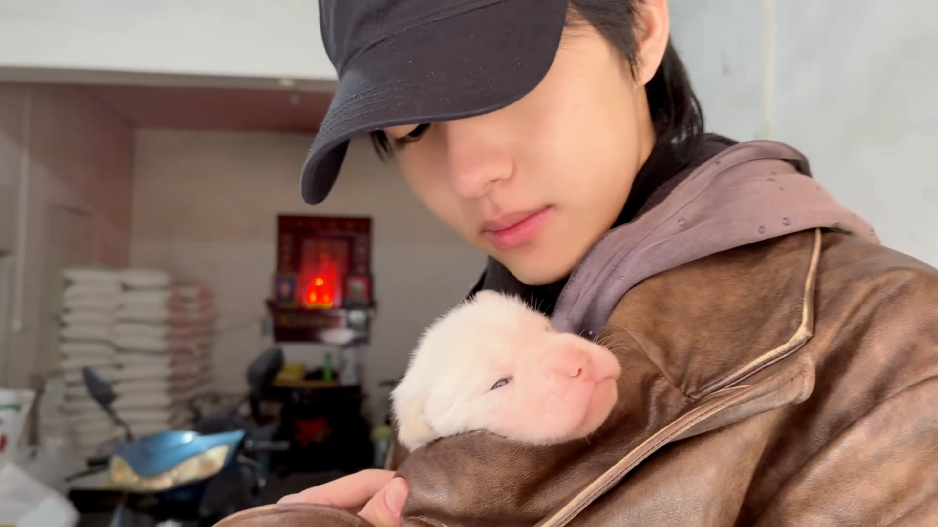 刘轩丞和狗狗互动刘轩丞和狗狗互动新鲜视频，好甜好甜啊，日常羡慕系列