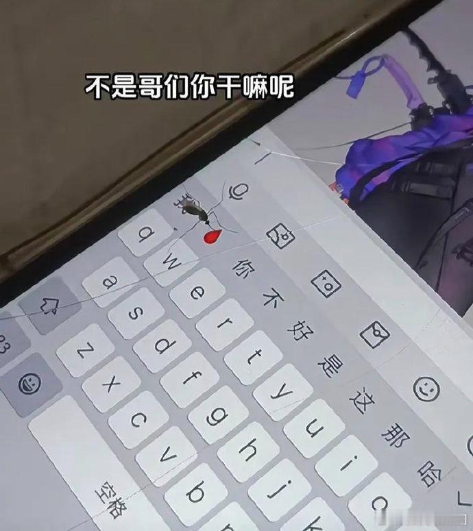 第一次见蚊子吸电子血 