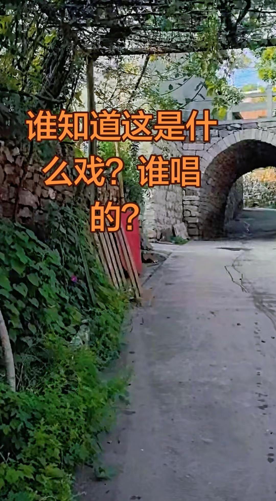 谁知道这是什么戏？谁唱的？