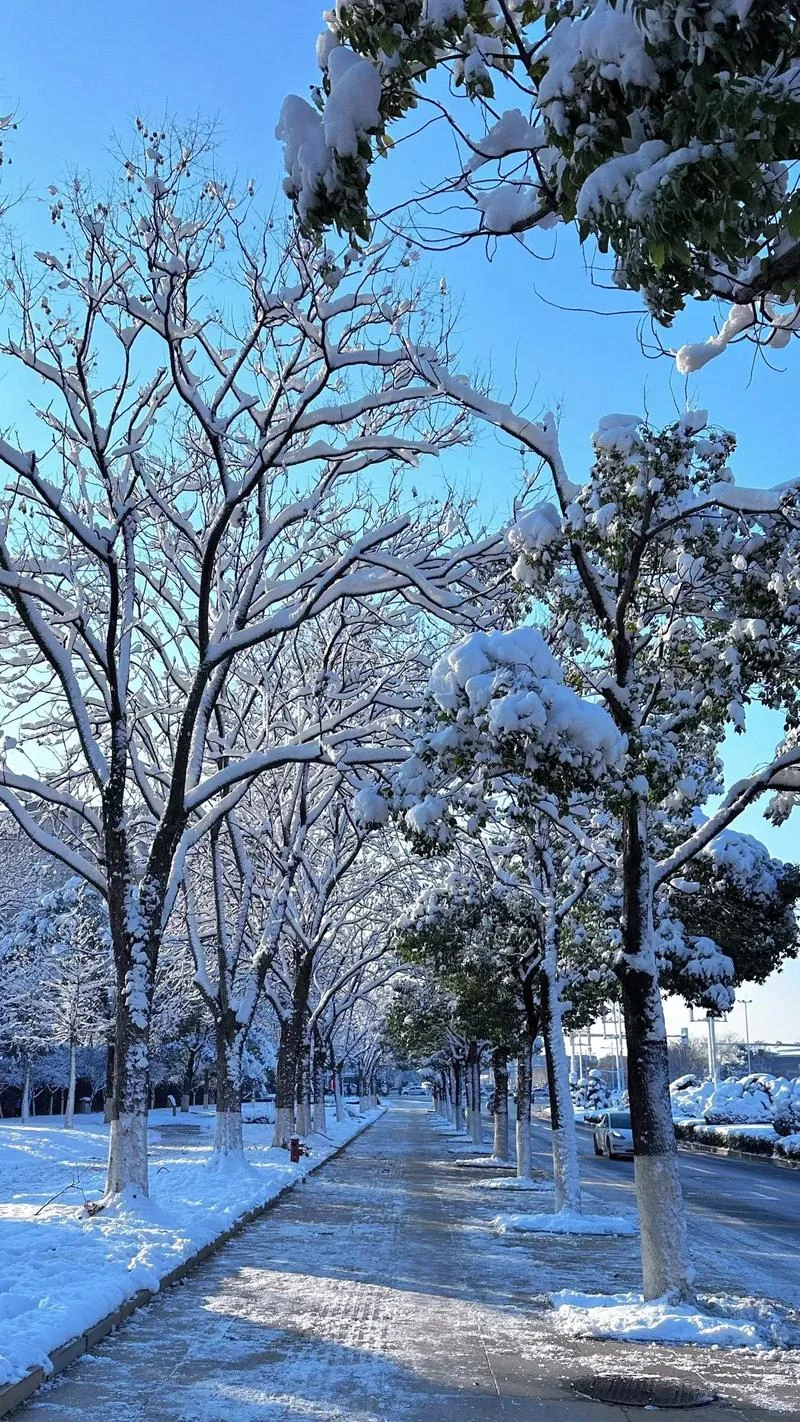 长沙下雪