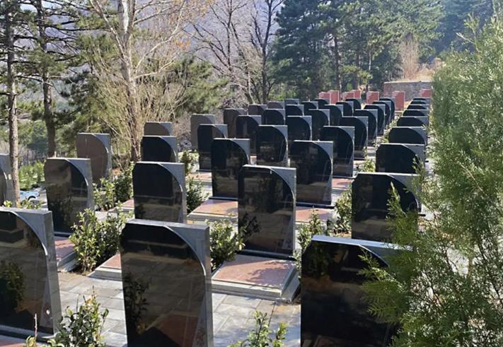 男子去父母墓地拜祭，顺便一次性缴清了20年的管理费，但他突然想到一个问题，浑身一