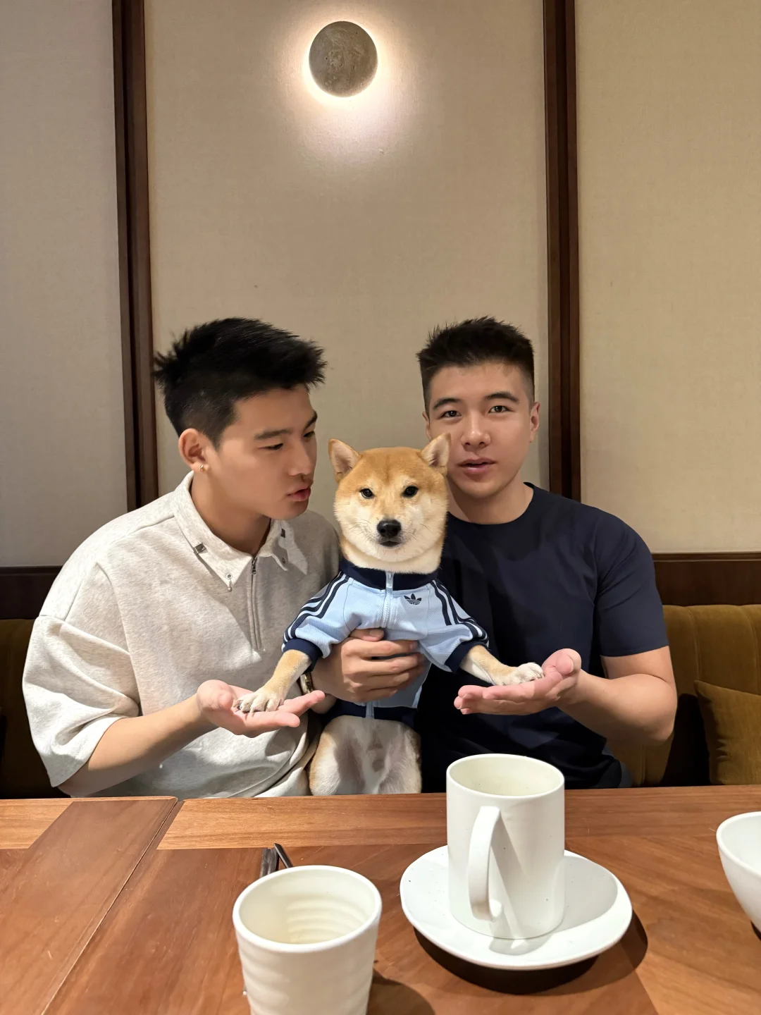 今日主角是小库比