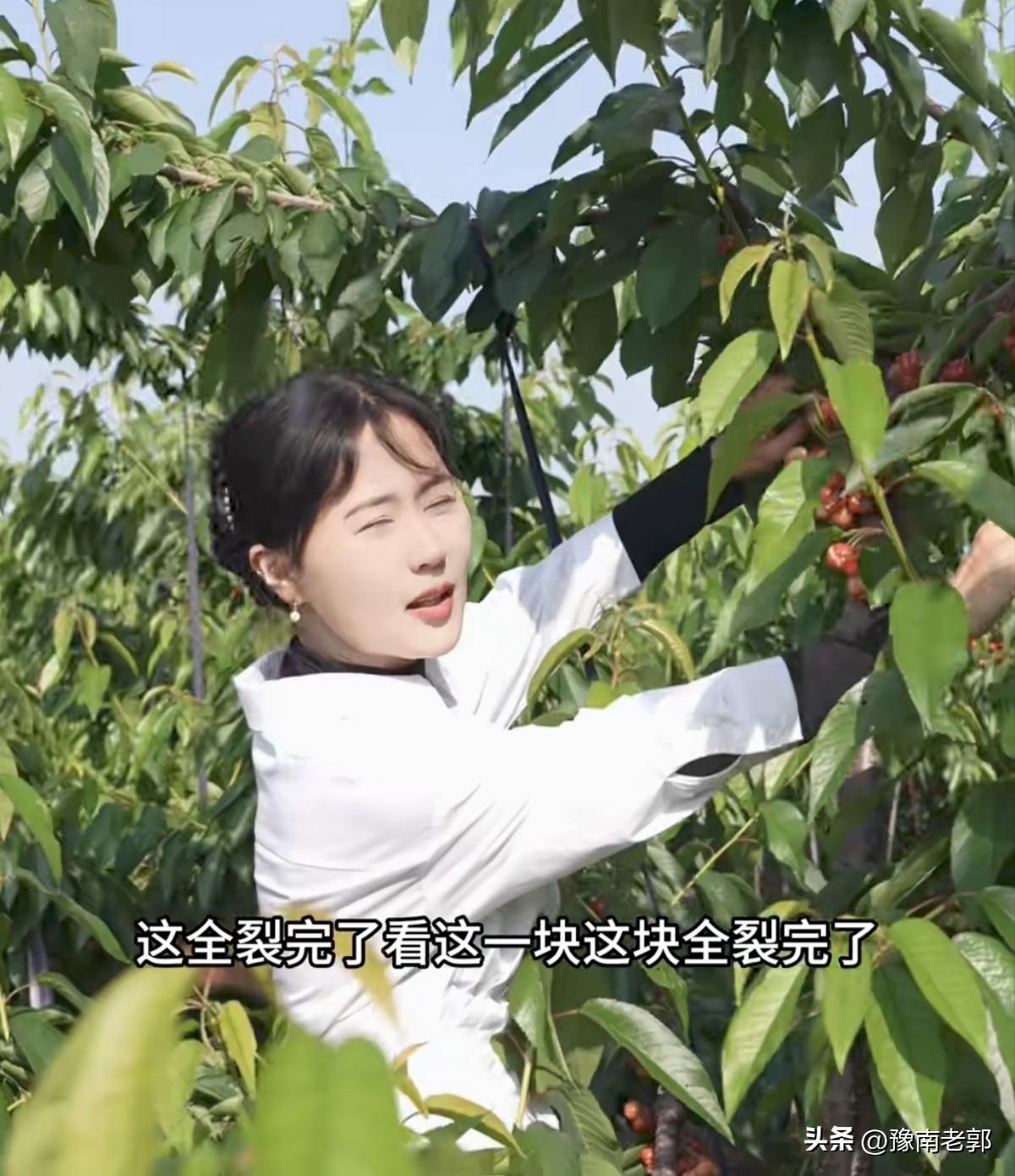 著名的打假博主李玉婵在千万粉丝博主相宜的老家咸阳白良村挨打了，事情一出来，看热闹