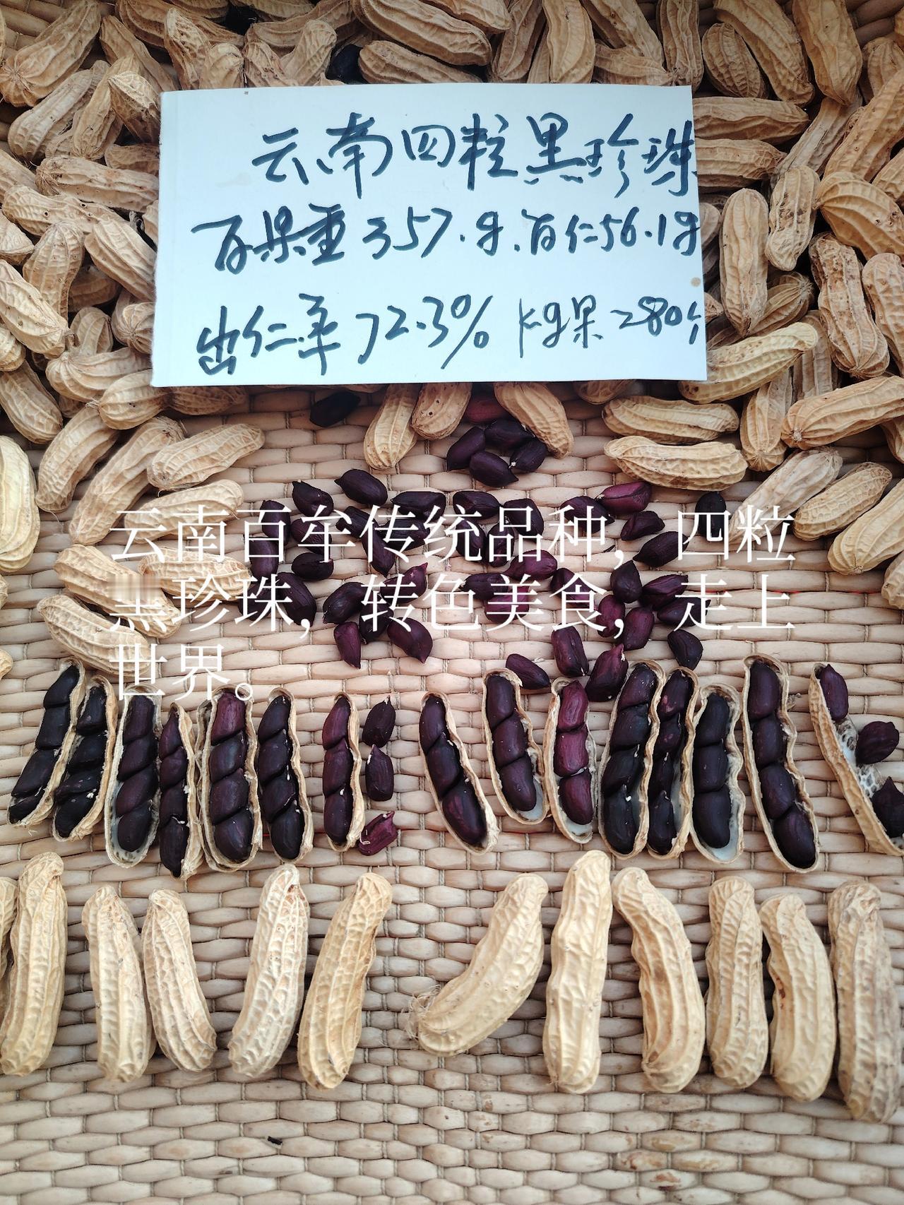 发一张你相册最近拍的花