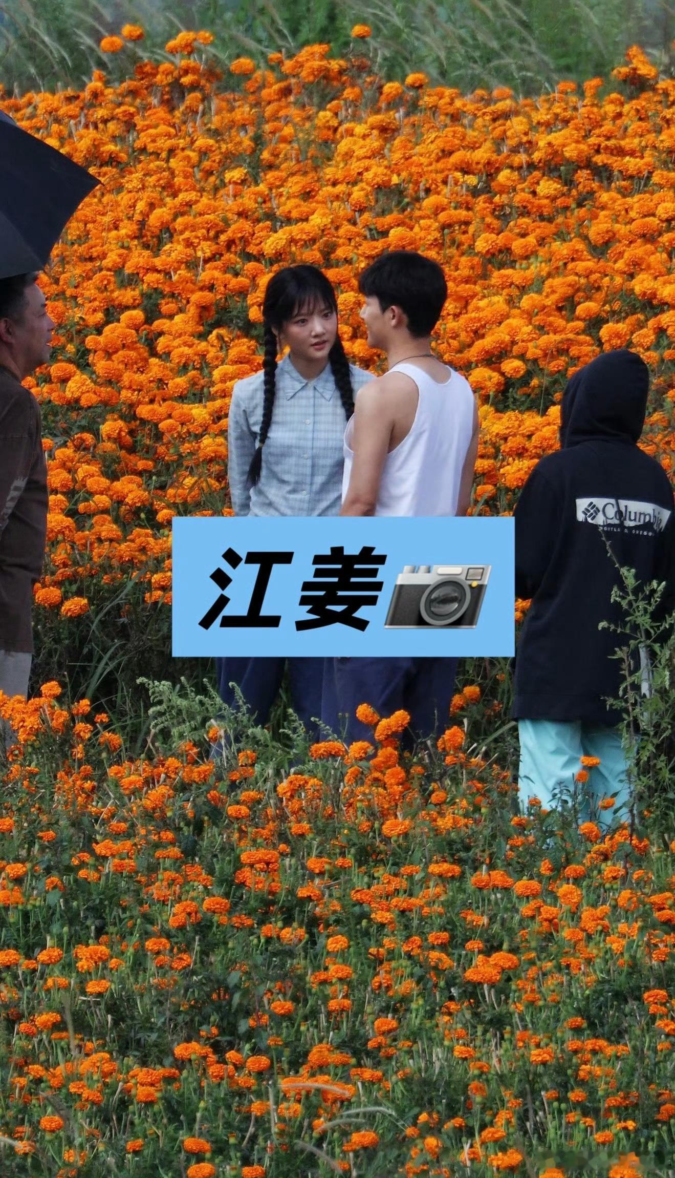 任敏、张晚意《柿柿如意》同框路透🈶，来康康有cp感吗[吃瓜] ​​​