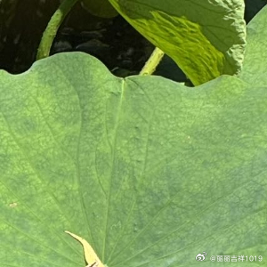 少一点执念，多一点释然，守护健康，守住平安，平淡日子满是幸福。 