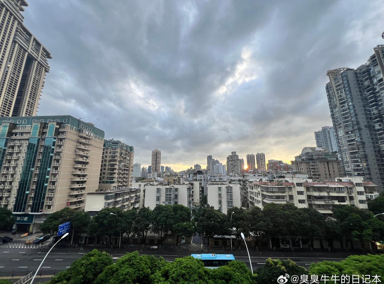 台风要来了，牛牛也要回来了