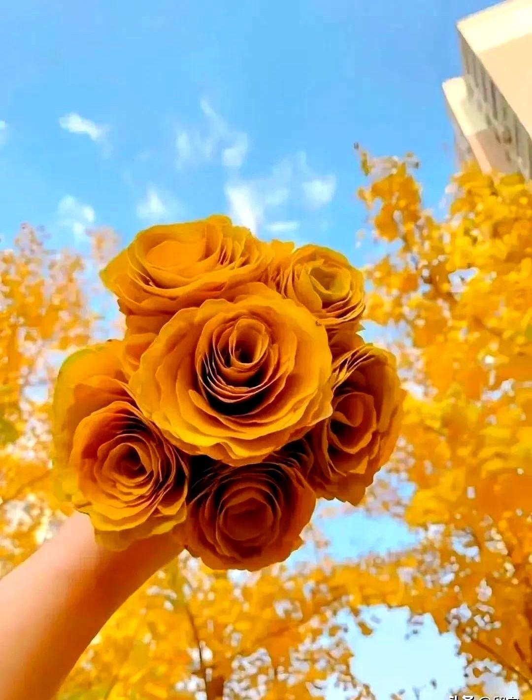 你们真的相信有因果报应吗？
这老太太年轻时就天天咒骂瘫痪的婆婆，任由她在污秽里挣