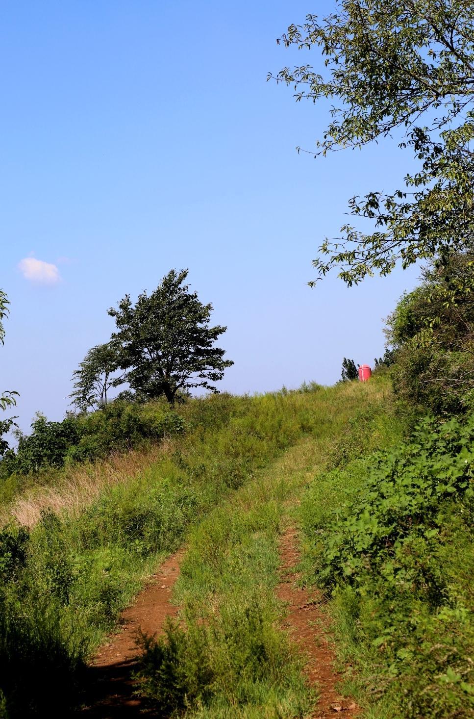 不必奔赴远地，跟随浅秋清风，行走于乡路山野，花果草木，朝露繁花，一幅幅都是大自然