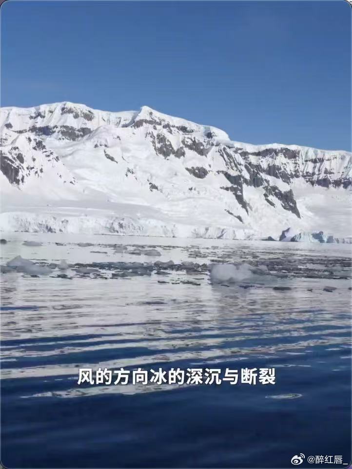 南极是一片永远在开始的土地。何香蓓的镜头下，企鹅不畏严寒一次次入海，冰川不惧消融