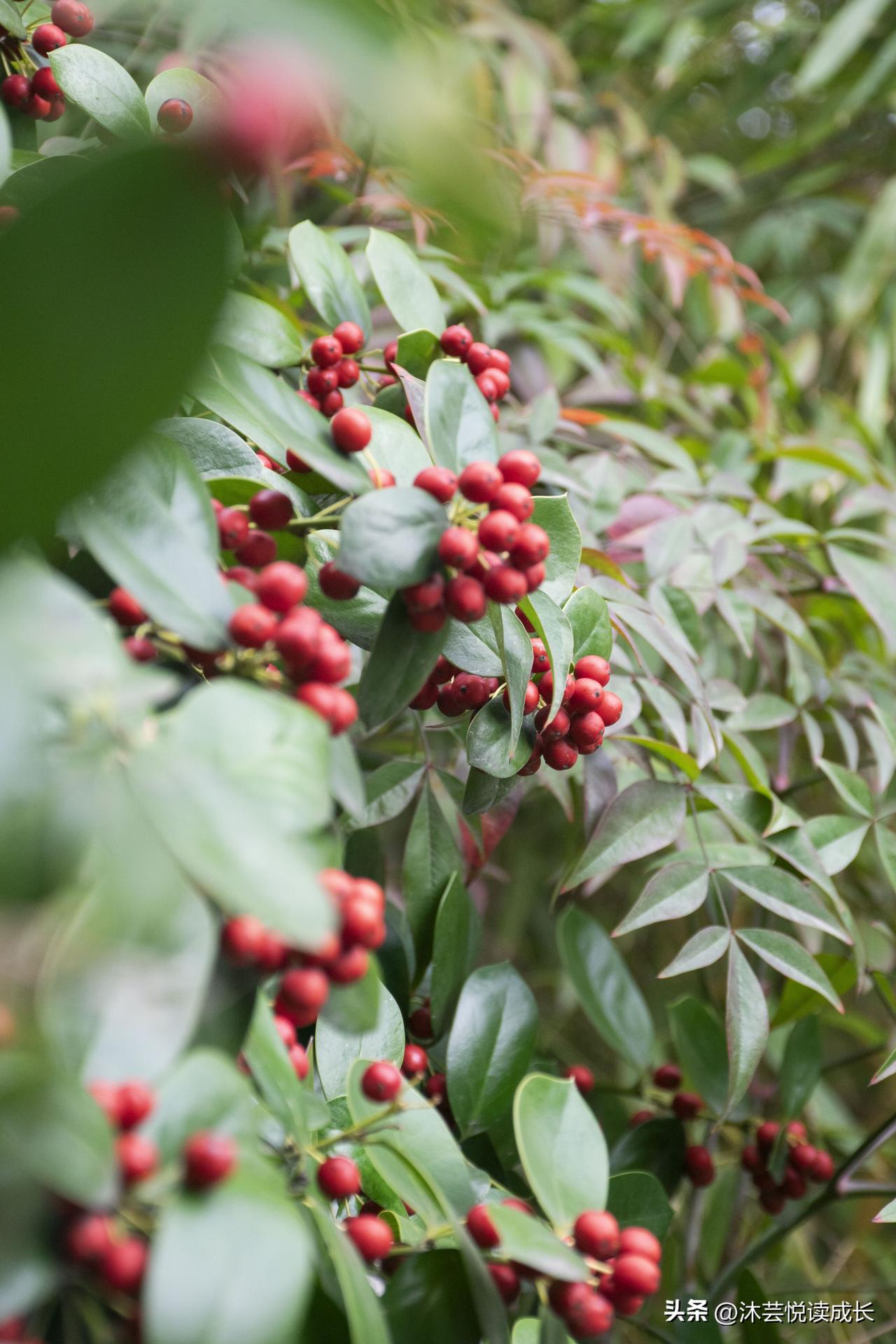 珍惜当下每一刻，因为明天和意外，谁也说不清。
人到中年、人生最大的感悟是什么?