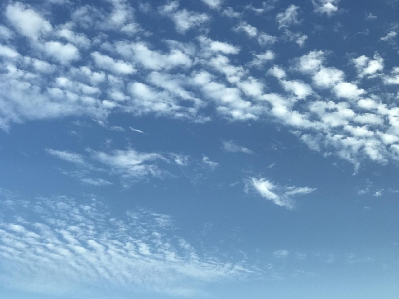 上联:春风春雨春争艳，诚邀对下联对，云卷云舒云悠扬。