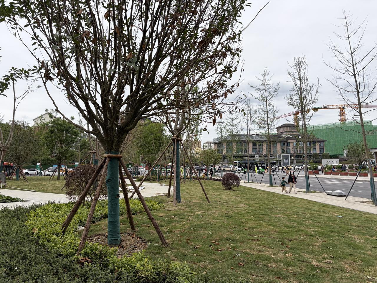 康复日记  走出小区围墙，走向鲜活的空间 260421

今天下午的散步，终于不