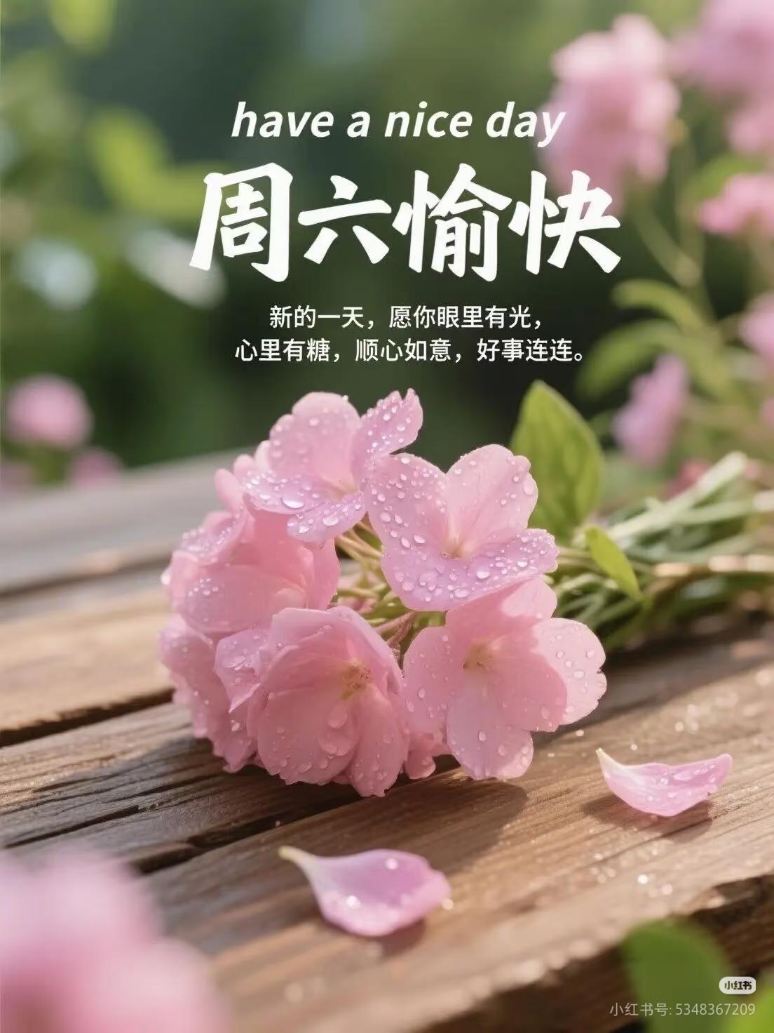 周六快乐！
比一切事物都更为奢侈的松弛感，隐匿于每个周末之中。人到六十方才明白，