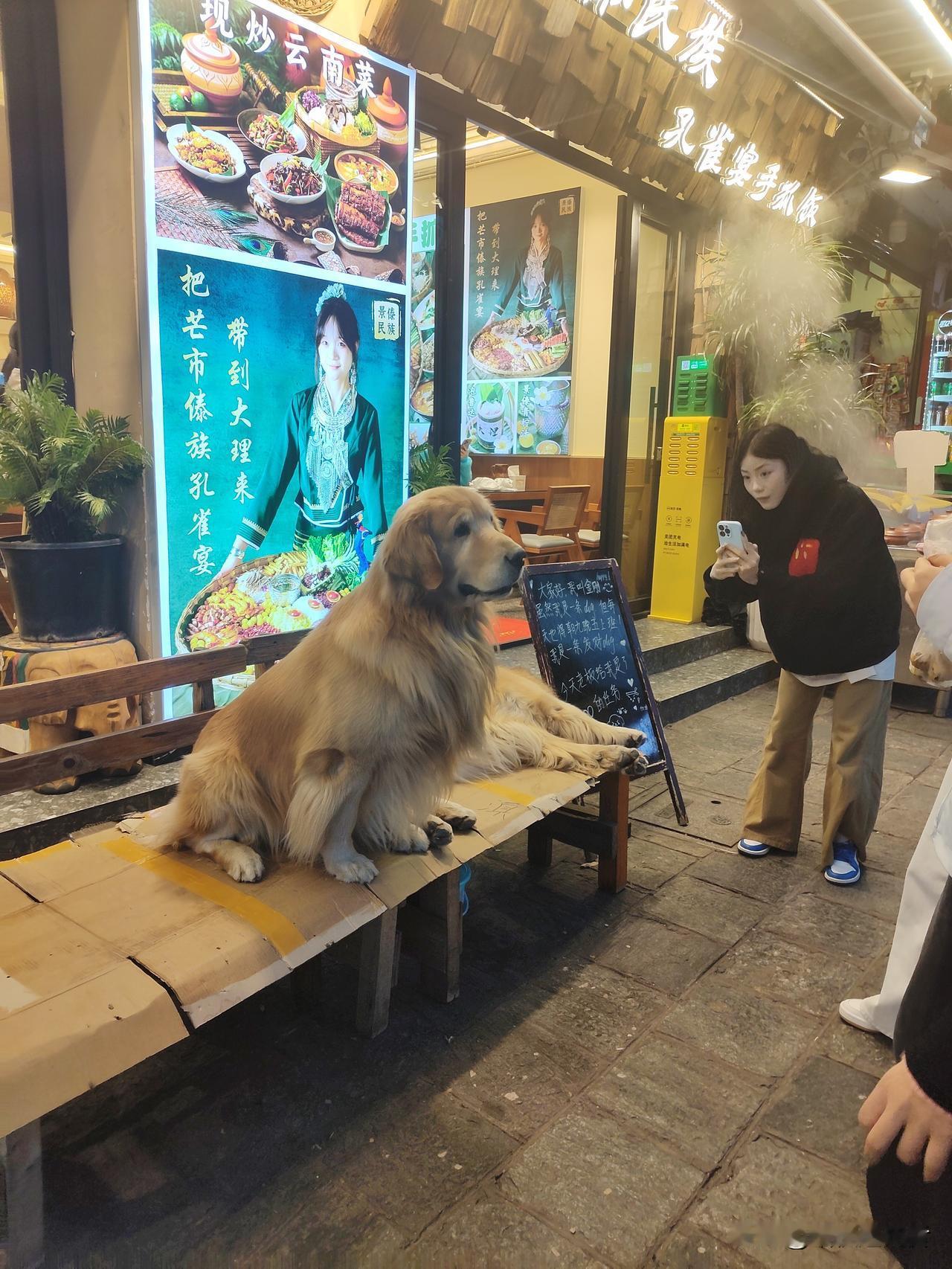 有时候好想变成一只狗!