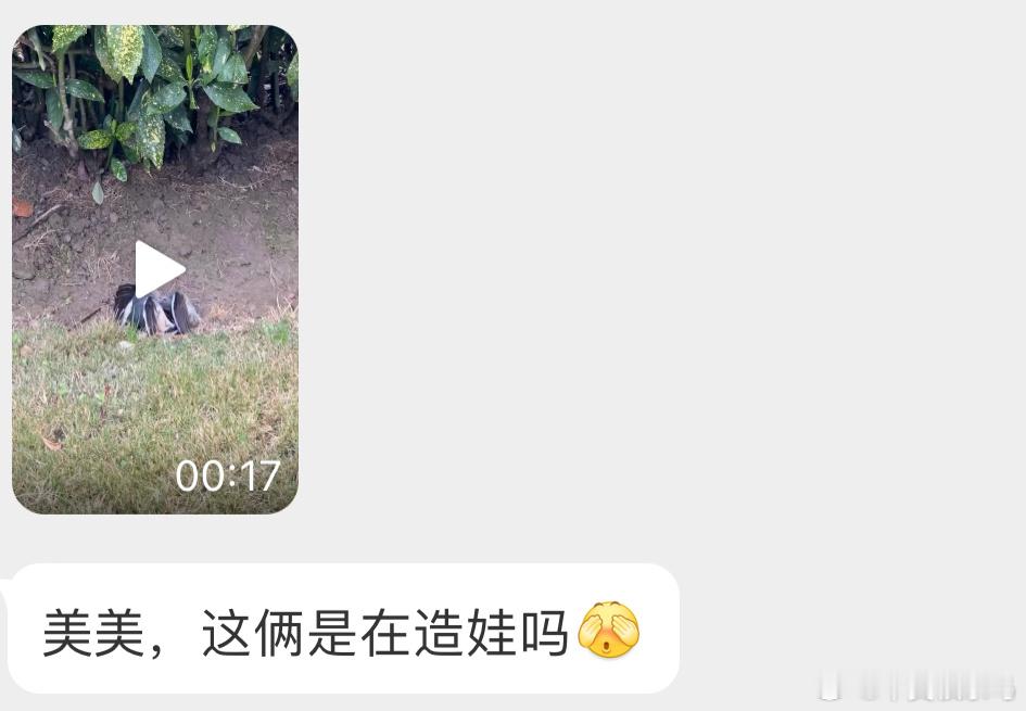 在打架。 ​​​
