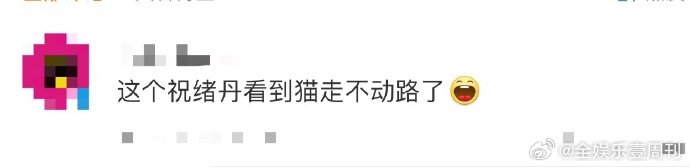 祝绪丹[超话]祝绪丹看到猫走不动路了救命！祝绪丹看到小猫的反应简直是我本人，扑过