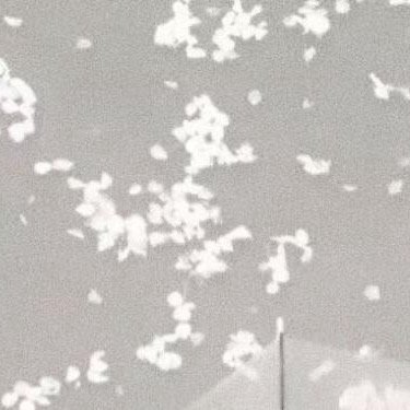 每一处风景都是生命的驿站，用乐观的心看待万物，心则如山花般烂漫。 知足且坚定，温