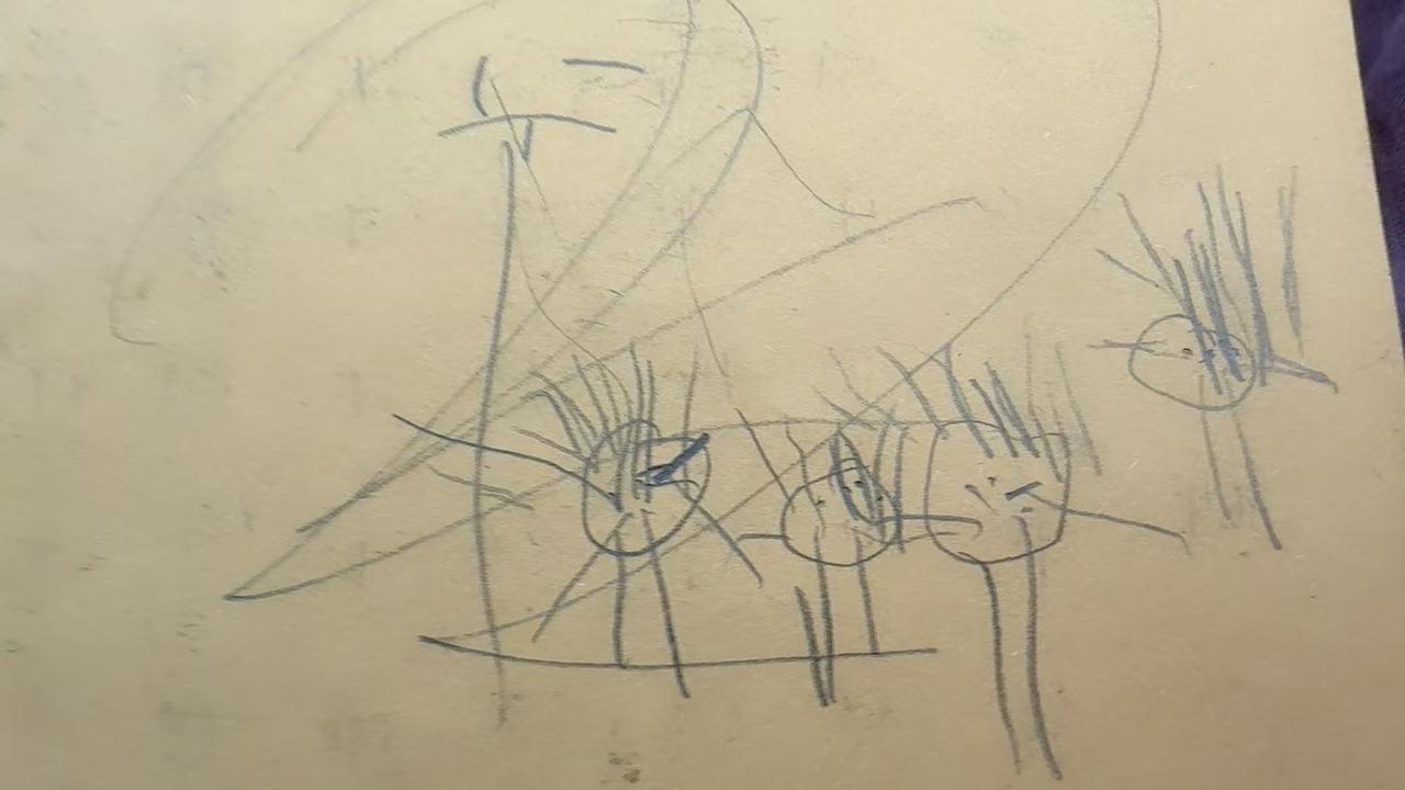 孩子画的一家4口、真想抽她